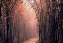 石家庄15832103778 私借 空放 私人借款 急用钱 私人借钱 无抵押 无担保 拿款快 一个电话上门办理 车辆抵押借款更快捷