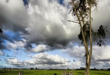 河北石家庄15832103778 私借 空放 私人借款 急用钱 私人借钱 无抵押 无担保 拿款快 一个电话上门办理 车辆抵押借款更快捷