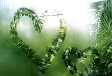 石家庄15832103778 私借 空放 私人借款 急用钱 私人借钱 无抵押 无担保 拿款快 一个电话上门办理 车辆抵押借款更快捷